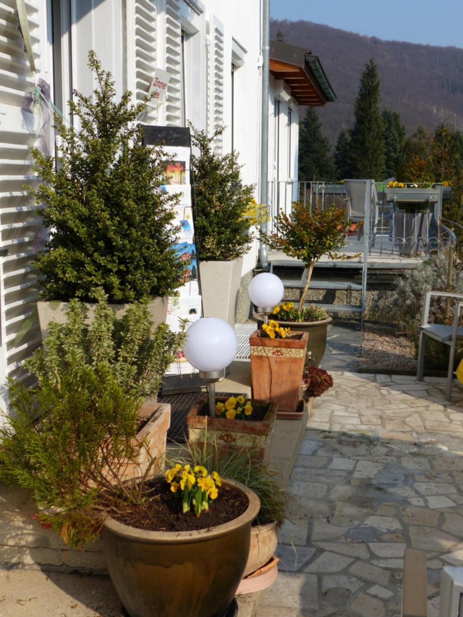 Haus Marija M Hotel Badenweiler Ngoại thất bức ảnh