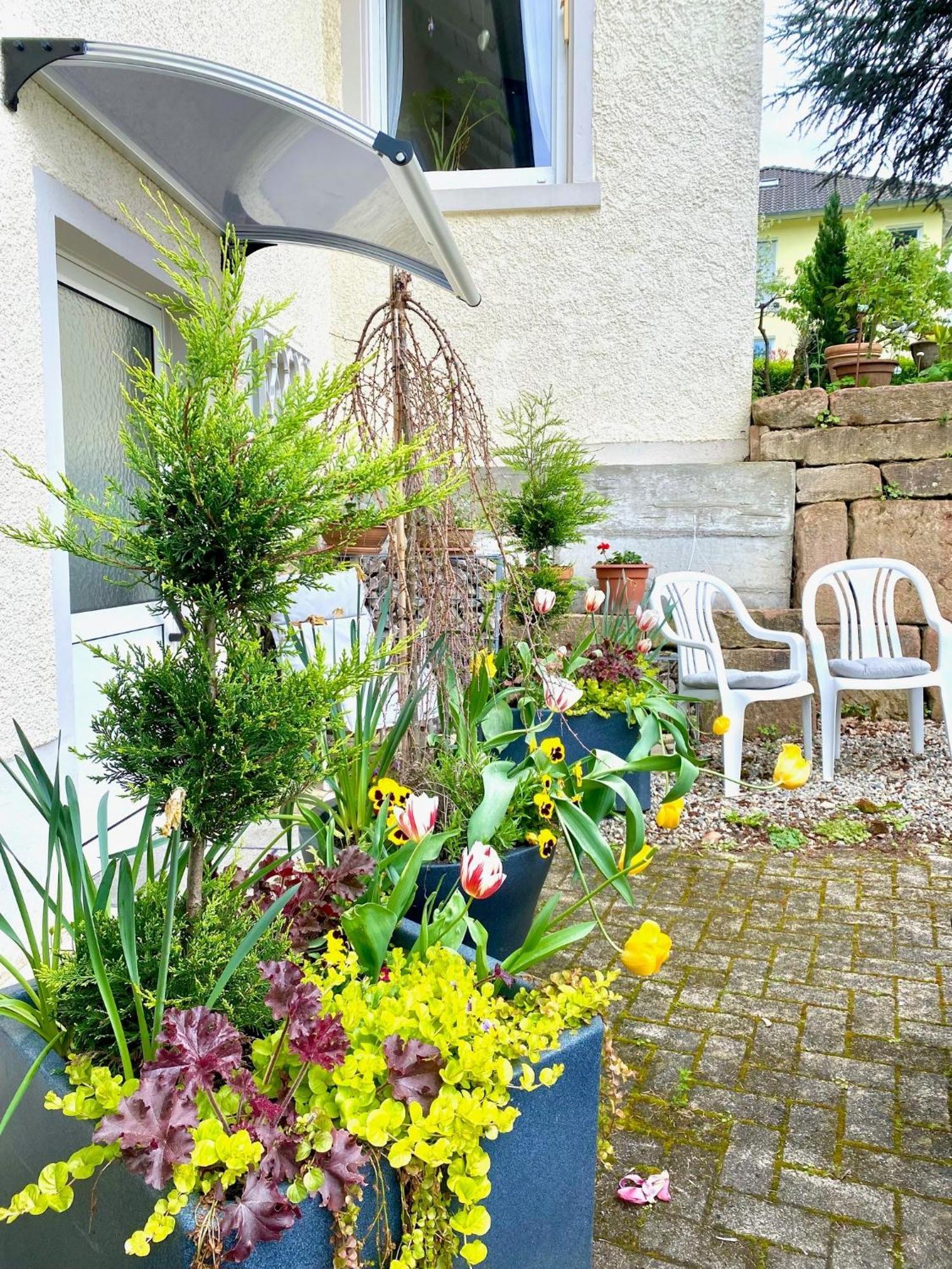 Haus Marija M Hotel Badenweiler Phòng bức ảnh