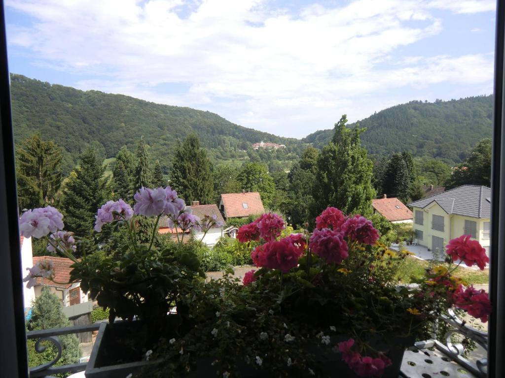 Haus Marija M Hotel Badenweiler Ngoại thất bức ảnh